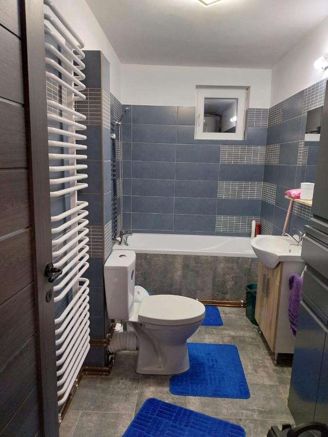 Villa Casa Balan Câmpulung Moldovenesc Esterno foto